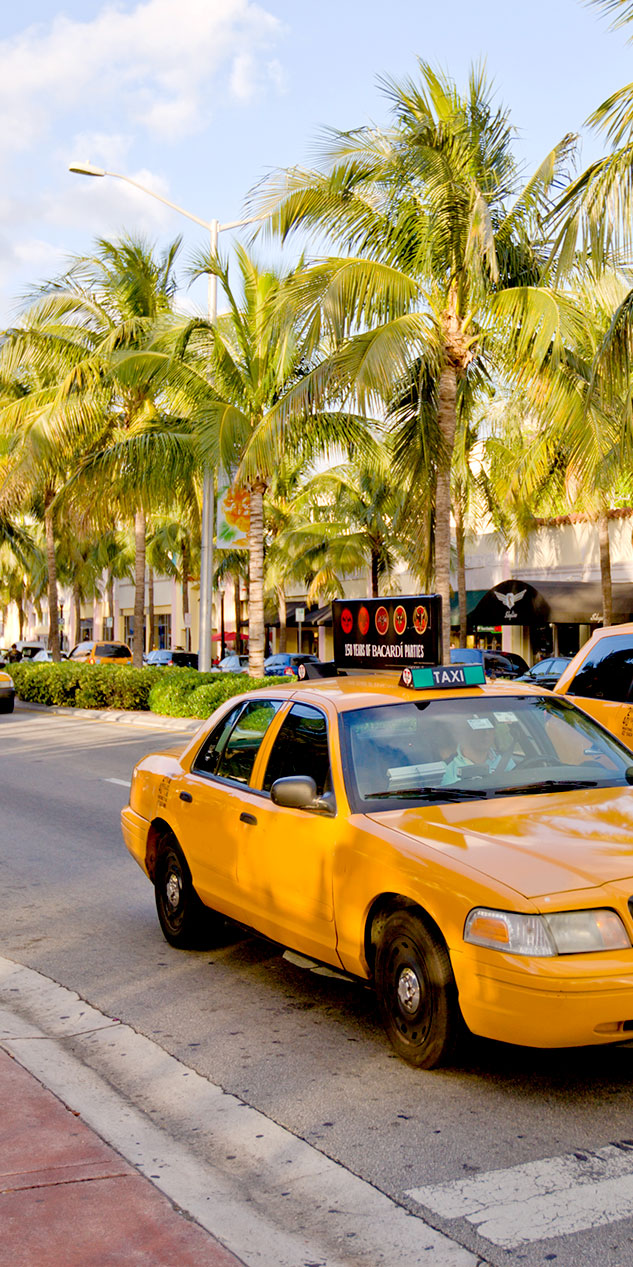 Miami Beach Cops Strip Woman Naked Over $16 Cab Fare 